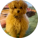 Olga B. Google review